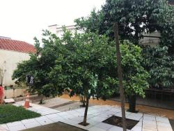 #ca2223 - Casa para Venda em Bauru - SP - 3