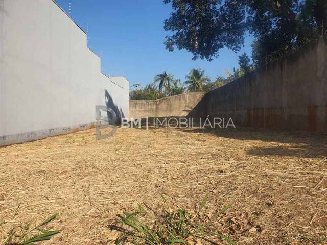 #7711 BM - Terreno para Venda em Bauru - SP - 1